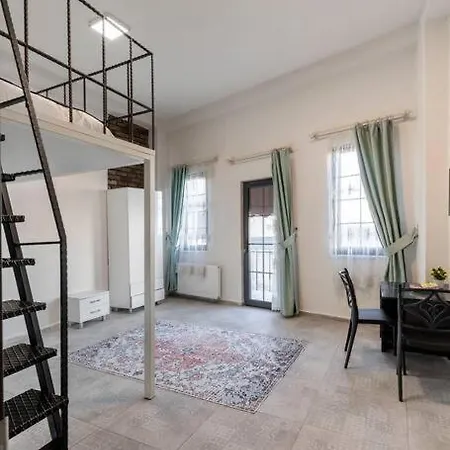 Cozy & Comfy Studio At Beyoglu - 9 アパート